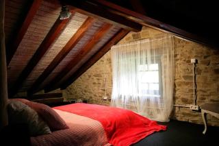 Stunning restored mill Boimouro - Piantes - 1