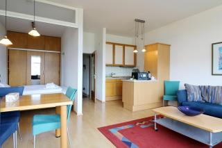 Apartment C37 "Sonnenwinkel" mit Südbalkon im Haus Feldbergblick, Lenzkirch, Innenpool, Sauna - Lenzkirch - 4