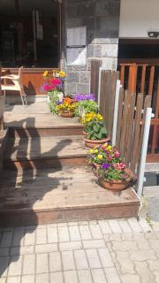 San Luigi - Rooms & Apartments - Campodolcino - 9