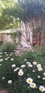 Oaktree - Burgersdorp - 7