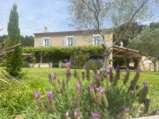 Mas Provençale entre Avignon et St Remy de Provence - Noves - 8