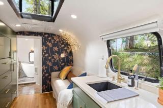 Royal Fern - 6