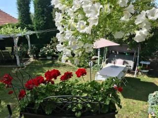 Relaxační studio VERA s UBYTOVÁNÍM - Valtice - 4