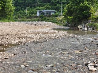 Danyang Forest 67 - 1