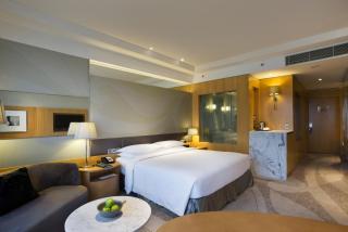 Hyatt Regency Gurgaon - Gurgaon - 9