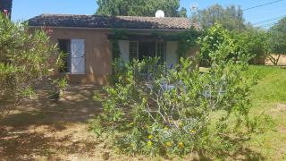 Villa les Arbousiers - Saint-Tropez - 6