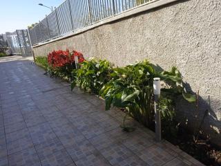 Villa Anna - Roseto Capo Spulico - 1