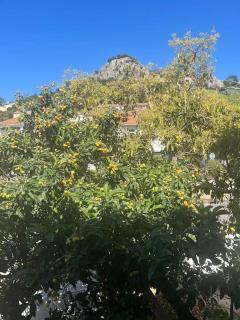 Très bel appartement à Hyeres - Hyères - 1