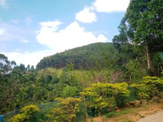 Ella Summer Leisure - 5