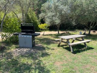 gite au paradis, parc animalier - Olmeta-di-Tuda - 6