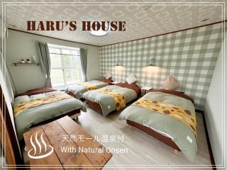 Renewal Haru's House Onsen モール温泉付き - Shiraoi - 8