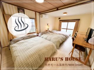 Renewal Haru's House Onsen モール温泉付き - Shiraoi - 6