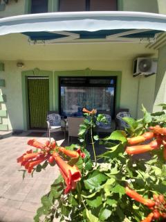 Apartment Kolonija - Slavonski Brod - 5