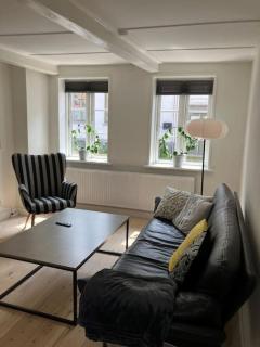 Charmerende byhus midt i Assens - 9