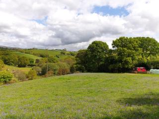 The Megabus near Tavistock and Dartmoor. - 2