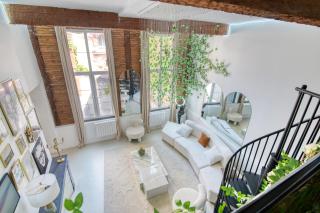 Appartement Luxueux et Fleuri à Toulouse, Capitole - Toulouse - 5