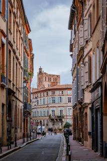 Appartement Luxueux et Fleuri à Toulouse, Capitole - Toulouse - 4