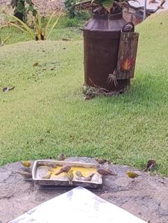 Canto dos Pirilampos - Pocinhos do Rio Verde - Caldas Novas - 7