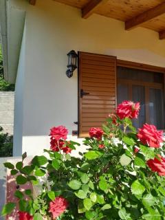 Sara & Mateo Guesthouse - Libohovë - 1
