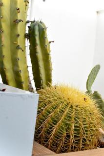 Gran apartamento con Terraza cerca a las Torres de Serrano - Valencia - 3