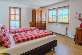 Seminarhaus & Ferienwohnung Zell am Harmersbach - Eisensprung - 3