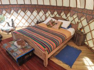 Glastonbury Wild Glamping - 1