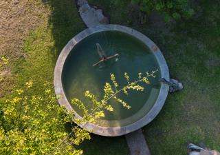 Hideaways Bumbusi Wilderness Camp, Hwange - Hwange - 7