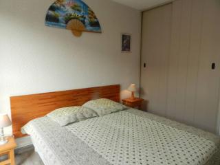 Appartement T2 proche plage et commerces, 4 couchages, Bormes-les-Mimosas - FR-1-251-765 - Bormes-les-Mimosas - 5