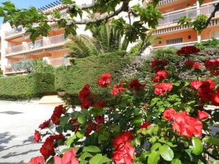 Appartement Confort 2 P. avec Terrasse, Plage et Commerces à 200 m - Parking Privé Inclus - FR-1-251-715 - 1
