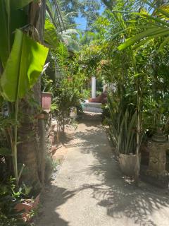 SU house Koh Phangan - 3