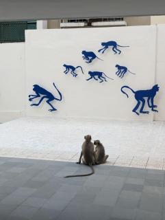 Fouzdar House by LuxUnlock Private Villas - 5