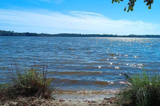 Newly build house in nature - Saint-Girons-en-Marensin - 2