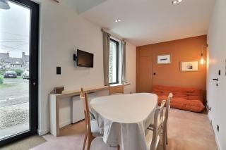 Studio naturel lanwezou - Saint-Benoît-des-Ondes - 8