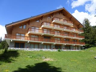 Studio confortable à Méribel Altiport, skis aux pieds, terrasse ensoleillée, proche forêt - FR-1-411-835 - Les Allues - 3