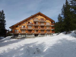 Studio confortable à Méribel Altiport, skis aux pieds, terrasse ensoleillée, proche forêt - FR-1-411-835 - Les Allues - 1