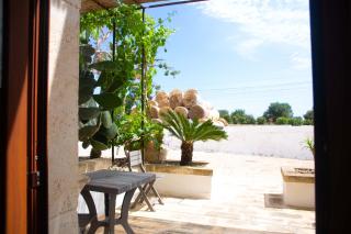 Lamapecora - Fasano - 9