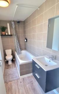New appartement nature cœur de ville - Avesnes-sur-Helpe - 3