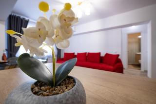 Ultracentral Luxury - Piteşti - 6