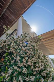 Waves Beachfront House, Nikiti - Nikiti - 8