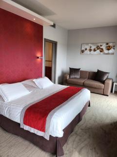 Kyriad Prestige Lyon Est - Saint Priest Eurexpo Hotel and SPA - Saint-Priest - 7