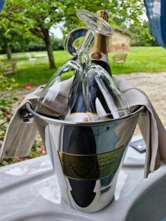 Domaine Le Clos du Figuier Spa Grisolles - 7