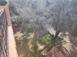 Villa au coeur de la vallée de l ourika - Ourika - 1