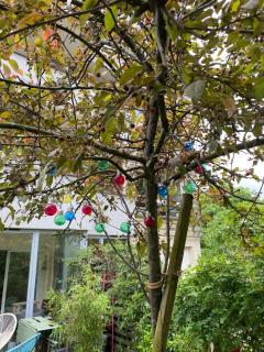 Superbe 3 pièce jardin - Les Lilas - 6