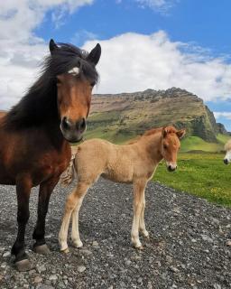 Boutique Hotel Anna by EJ Hotels - 1