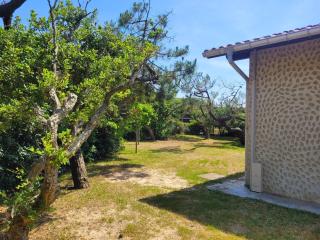 DUNES - Villa Patio Avec Jardin - proche Plage de la Gravière - Soorts-Hossegor - 7
