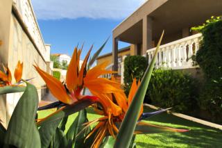 ARENDA Villa Flandes Pino Alto - Miami Platja - 3
