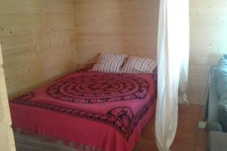 Estudio espacioso, jardin privado - 2