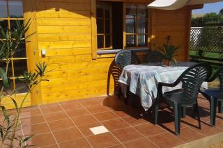 Estudio espacioso, jardin privado - 1