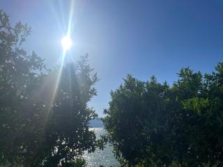 Sara - Vlorë - 8