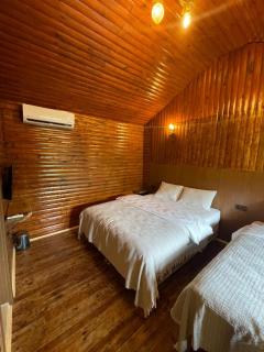 LİYA 107 DAĞ MANZARALI oda - 3